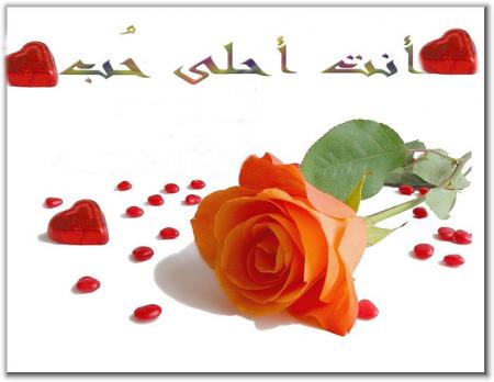 je t aime tan